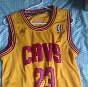 Lebron James Cleveland Cavs jersey